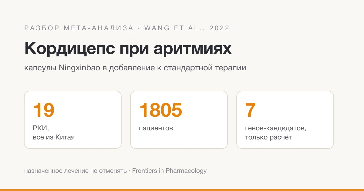 Кордицепс при аритмиях: разбор мета-анализа Wang et al., 2022